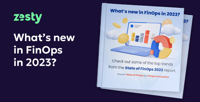 FinOps Report